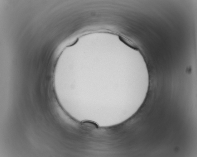X0000113141524200910161144