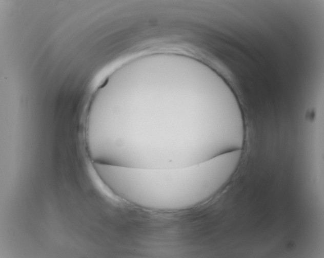 X0000113141528200910161144