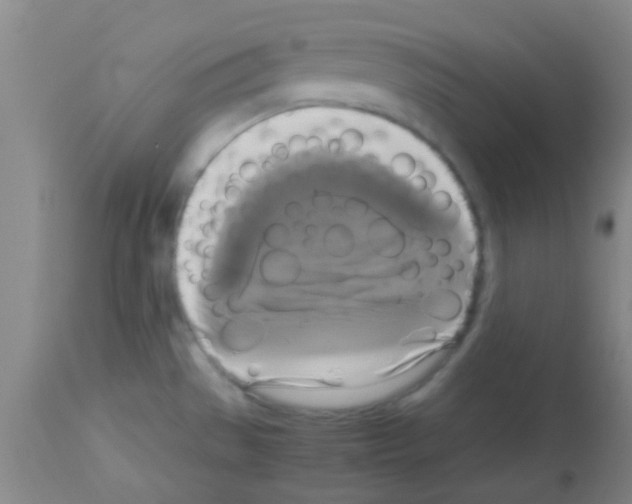 X0000113141529200910161144