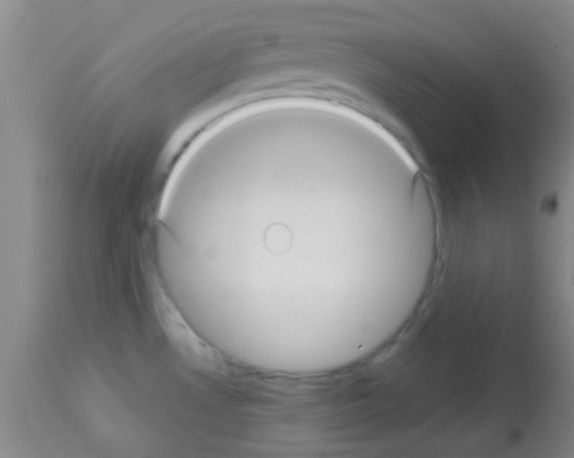 X0000113141530200910161144