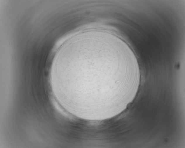 X0000113141531200910161144