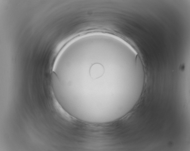 X0000113141532200910161144