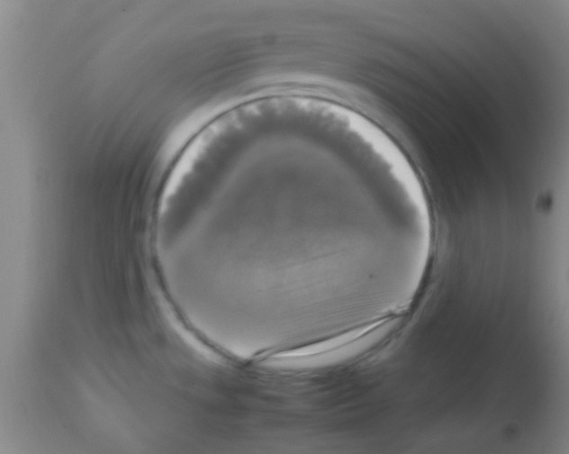 X0000113141533200910161144