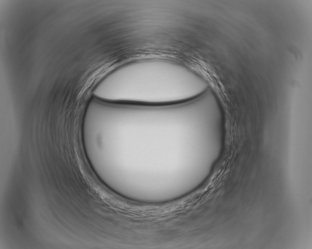 X0000113150001200909040941