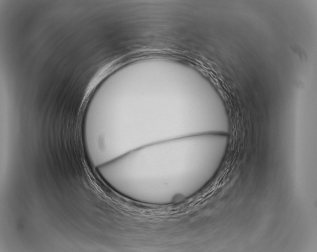 X0000113150004200909040941