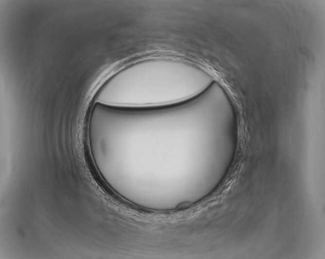 X0000113150007200909040941