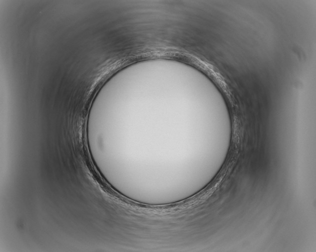X0000113150010200909040941