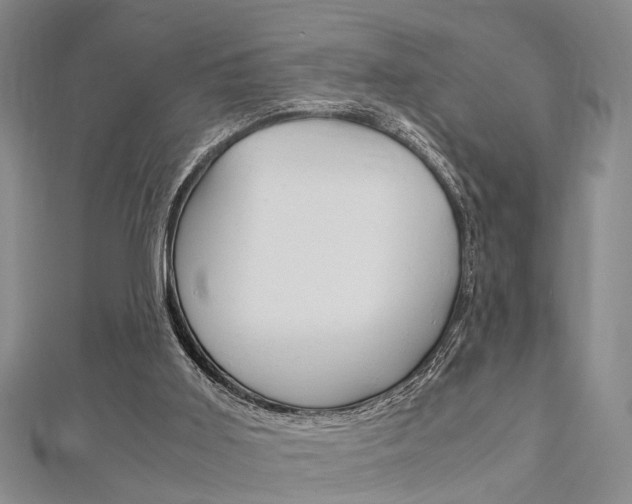 X0000113150011200909040941