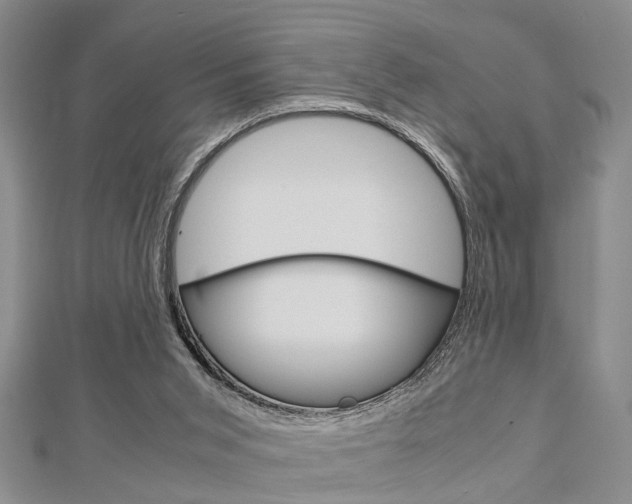 X0000113150015200909040941