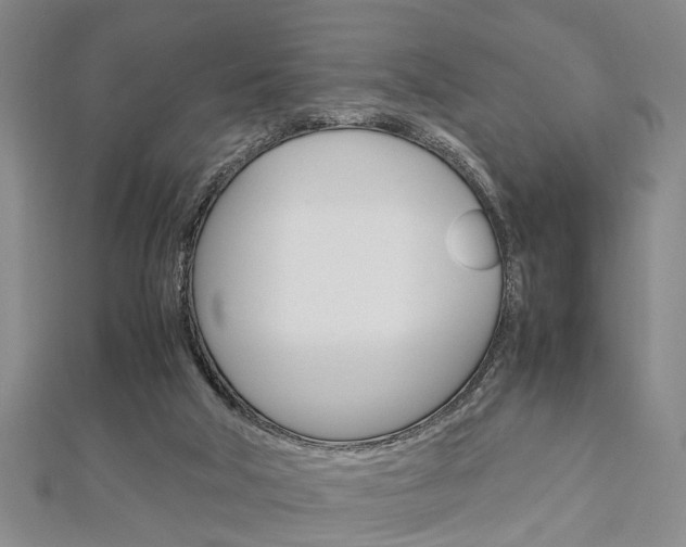 X0000113150018200909040941