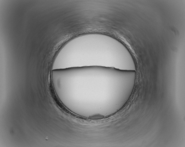 X0000113150019200909040941