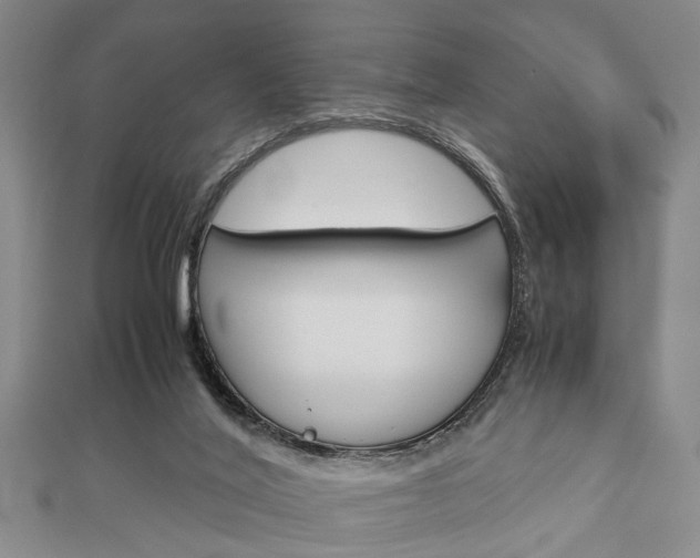 X0000113150020200909040941