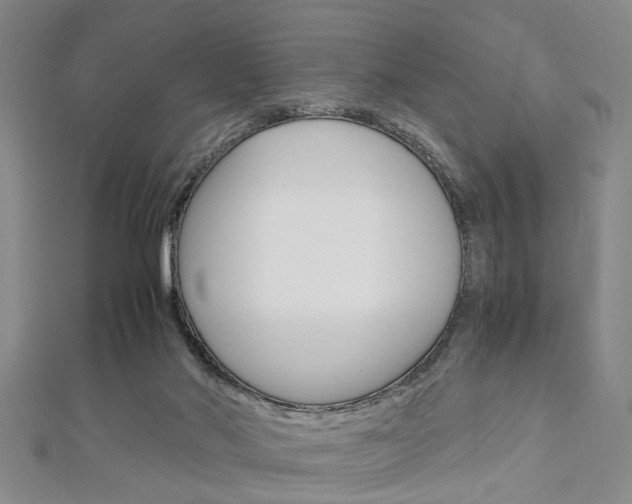 X0000113150022200909040941