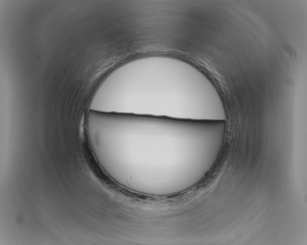 X0000113150024200909040941