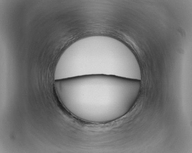 X0000113150025200909040941