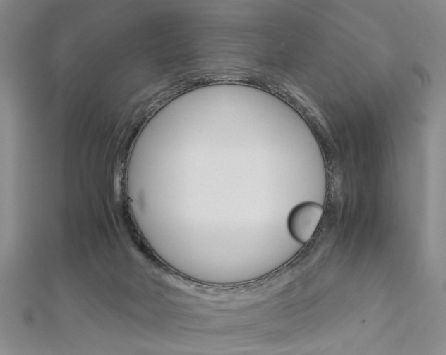 X0000113150026200909040941