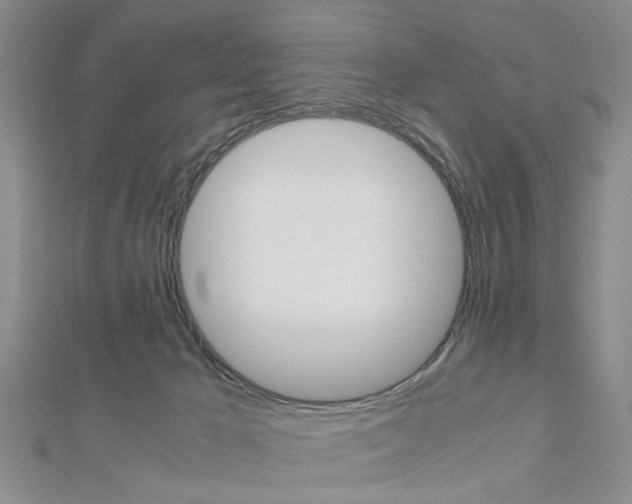 X0000113150029200909040941