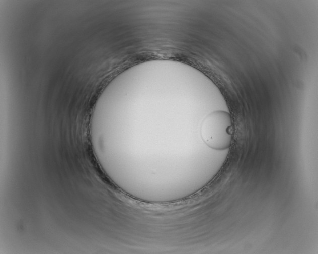 X0000113150030200909040941