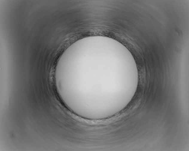 X0000113150038200909040941