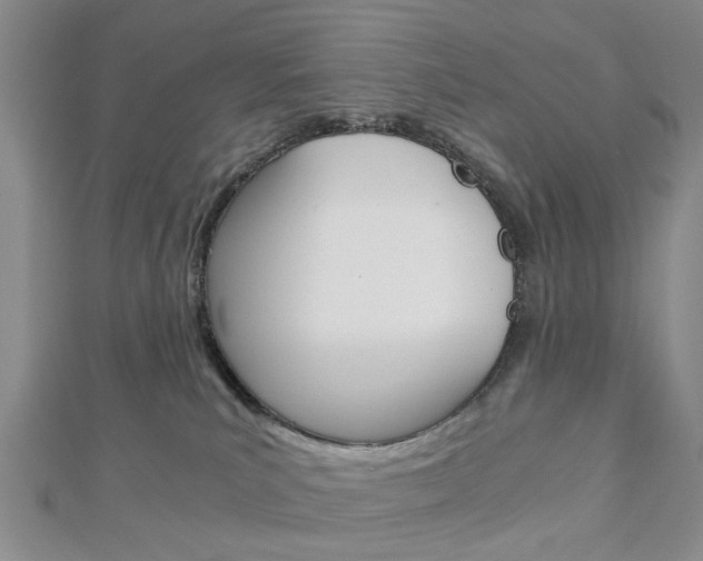 X0000113150039200909040941