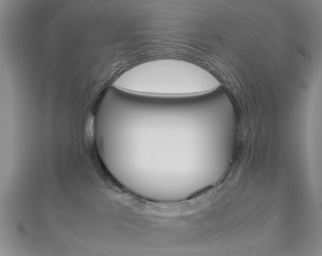 X0000113150041200909040941
