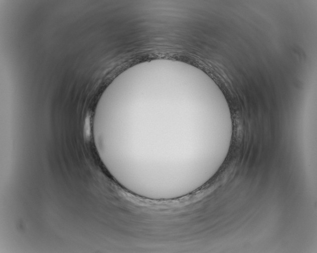 X0000113150042200909040941