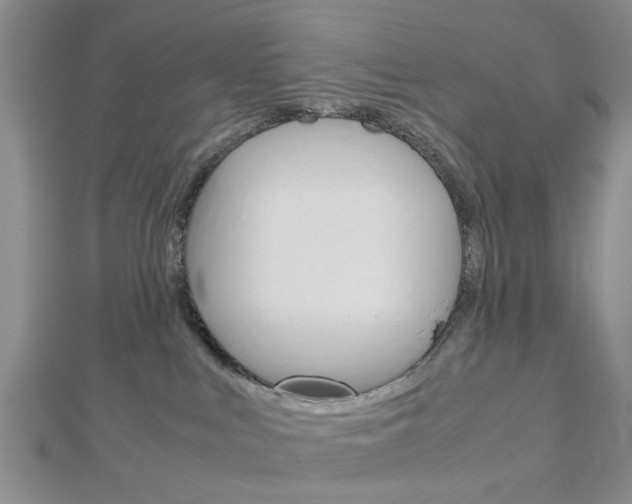 X0000113150043200909040941