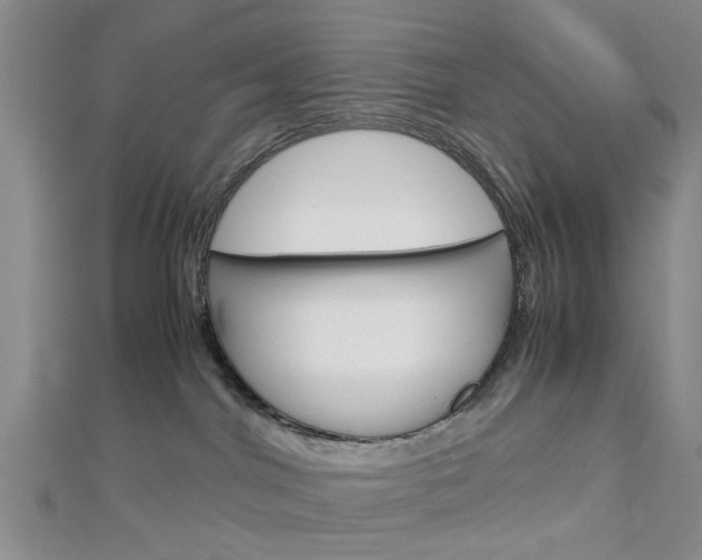 X0000113150044200909040941