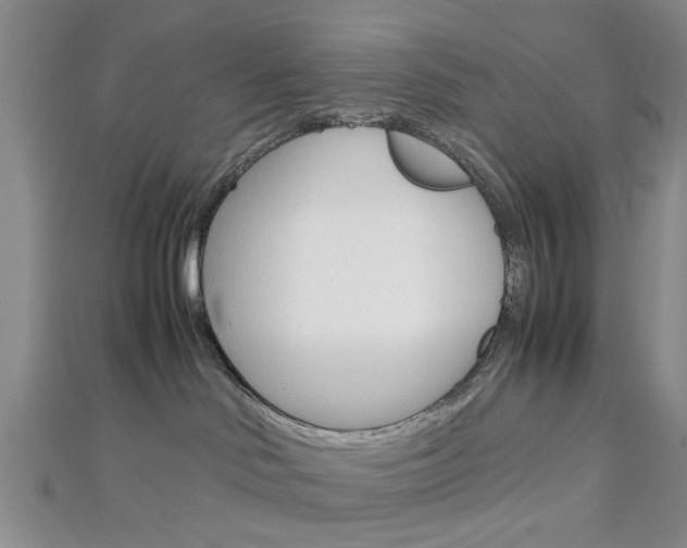 X0000113150046200909040941