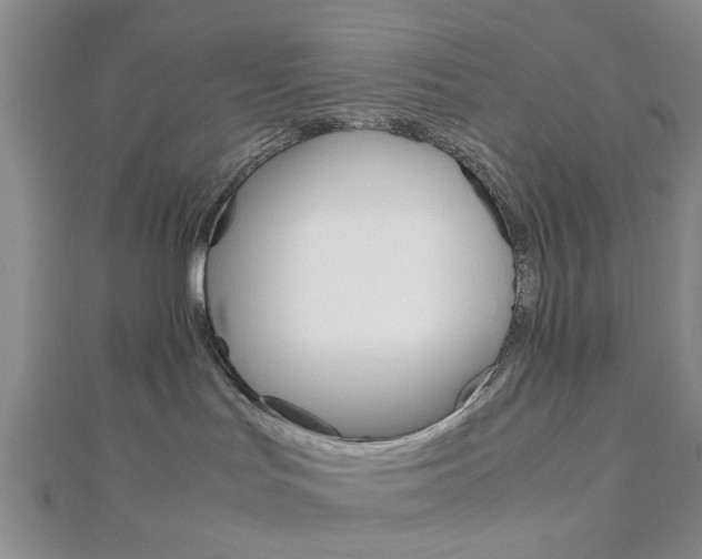 X0000113150047200909040941