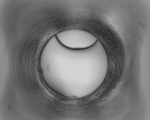 X0000113150049200909040940