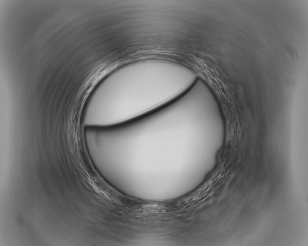 X0000113150050200909040940