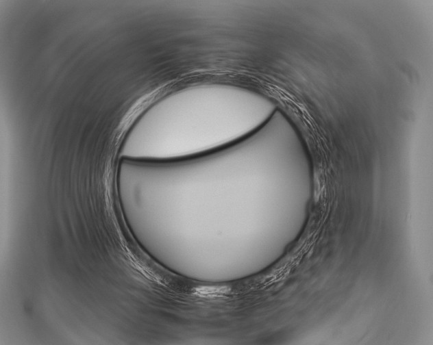 X0000113150051200909040940