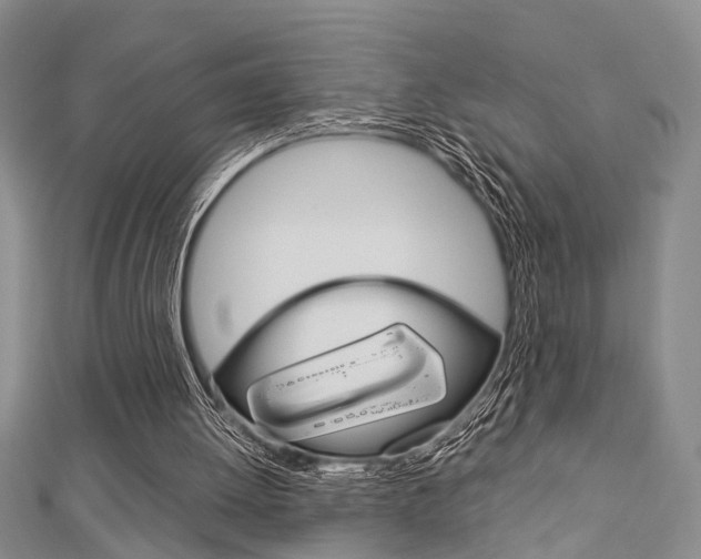 X0000113150052200909040940