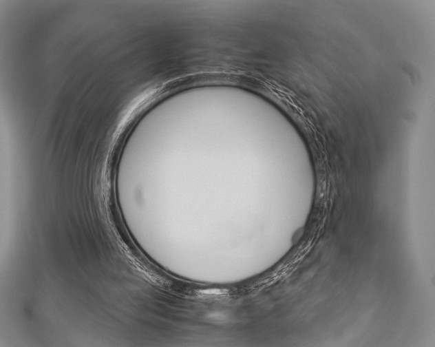 X0000113150053200909040940