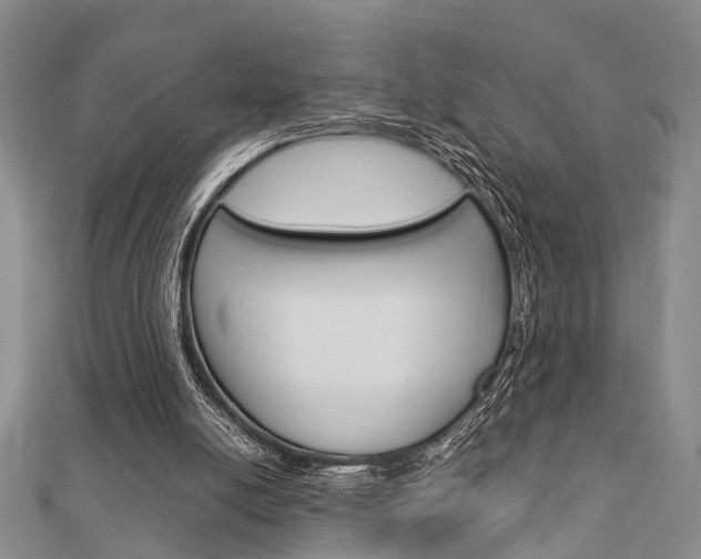 X0000113150054200909040940