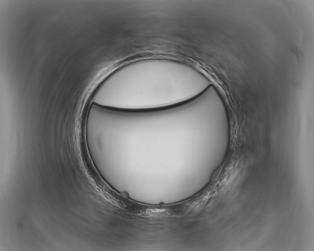 X0000113150055200909040940
