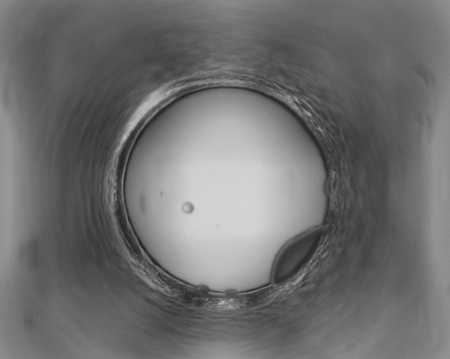 X0000113150056200909040940