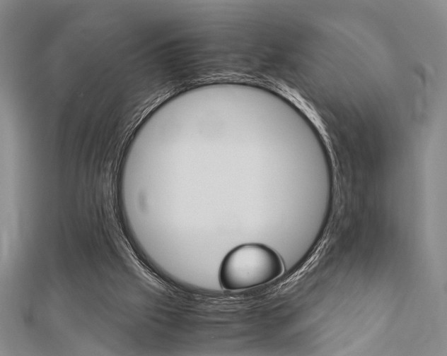 X0000113150057200909040940