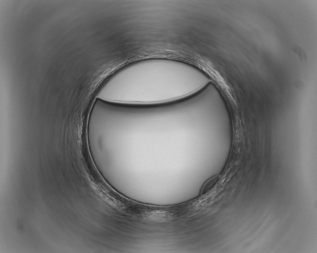 X0000113150058200909040940