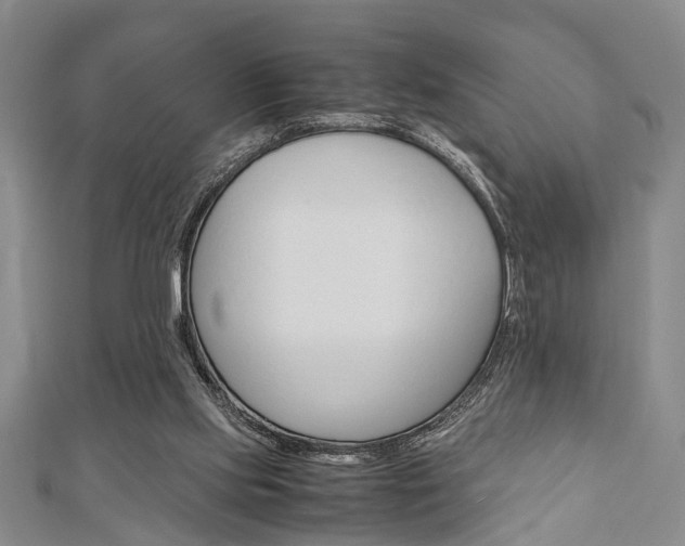 X0000113150061200909040940