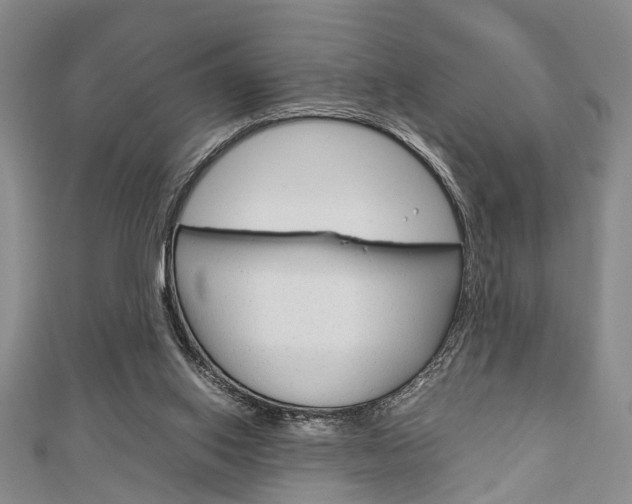 X0000113150062200909040940