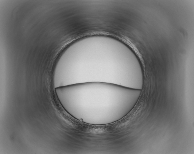 X0000113150063200909040940