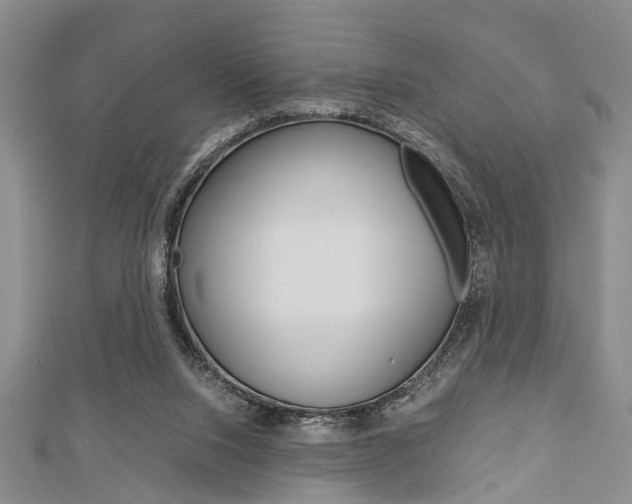 X0000113150064200909040940