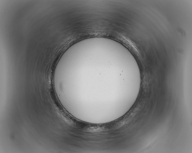 X0000113150065200909040940