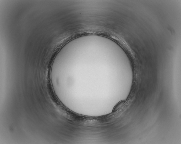 X0000113150066200909040940