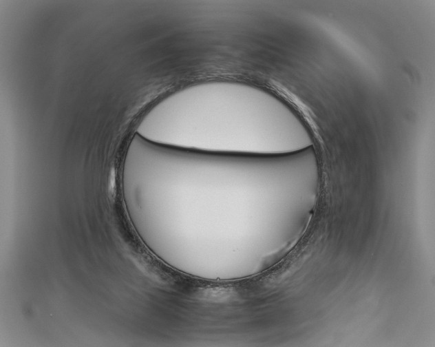 X0000113150067200909040940