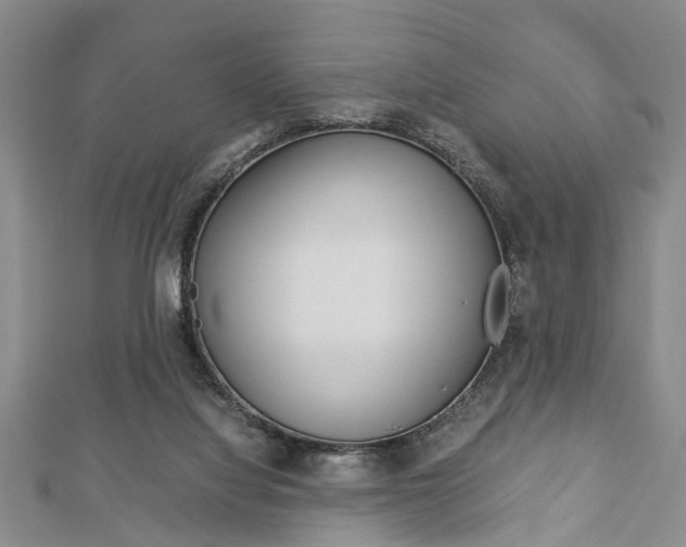 X0000113150068200909040940