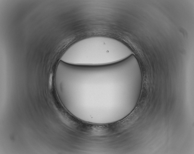 X0000113150070200909040940