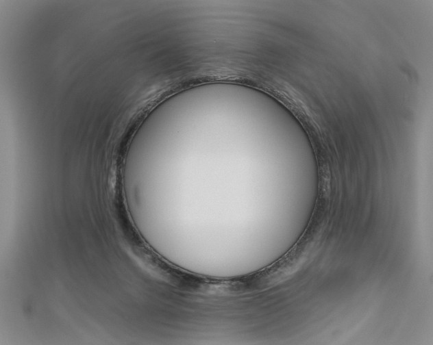 X0000113150072200909040940